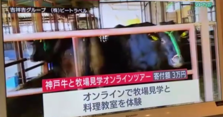 『神戸牛オンライン体験ツアー』がテレビ朝日・NHKにて紹介されました